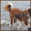 [Click to enlarge image]