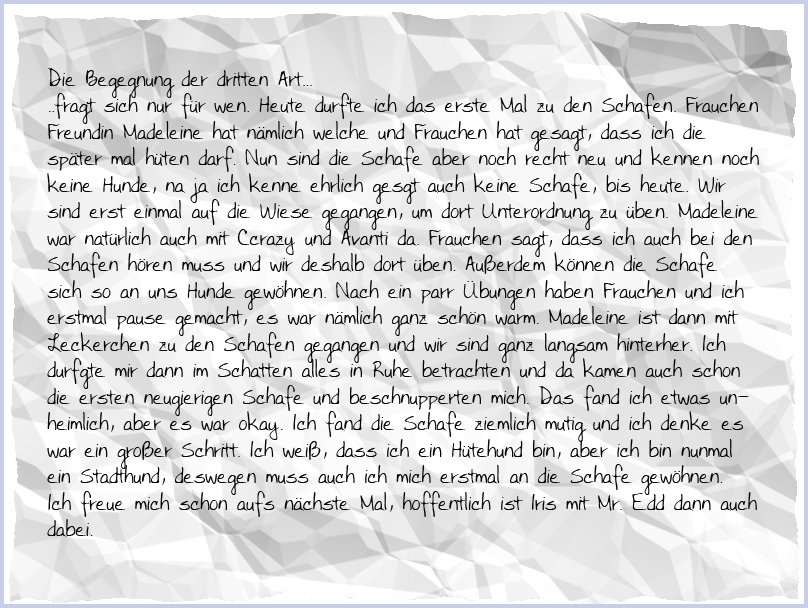 1_Schafe